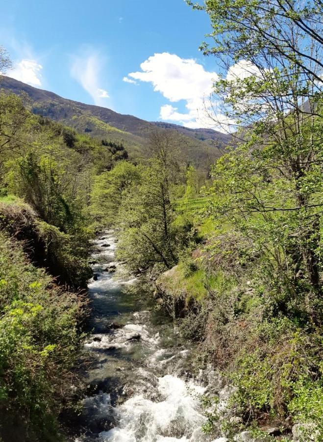 Auberge Cevenole Valleraugue Dış mekan fotoğraf
