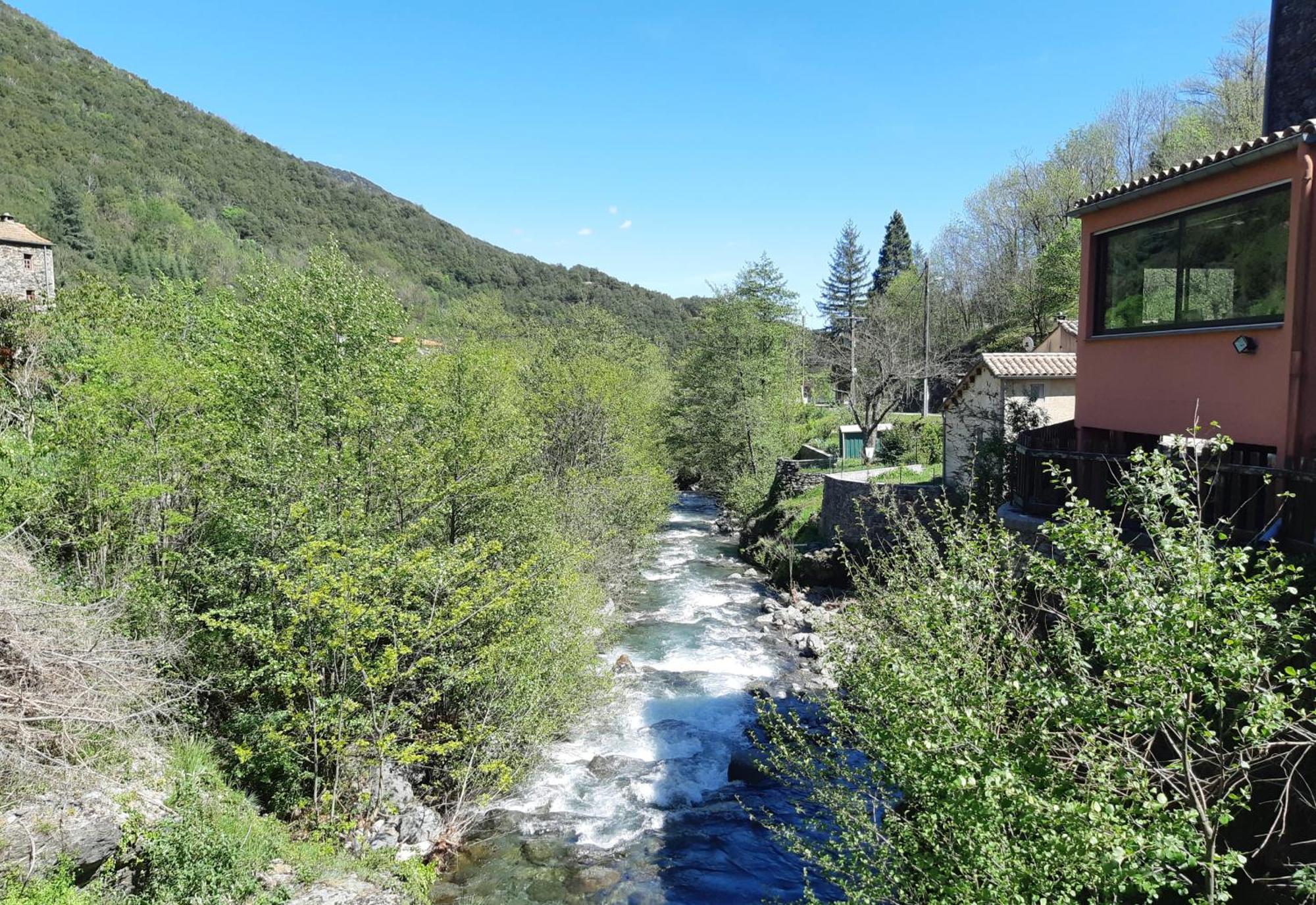 Auberge Cevenole Valleraugue Dış mekan fotoğraf